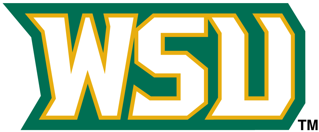 Wright State Raiders 2001-Pres Wordmark Logo v4 iron on transfers for clothing